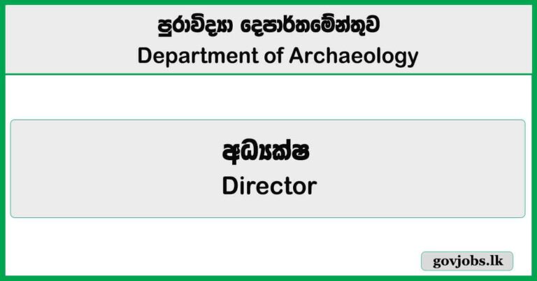 Director – Department of Archaeology Job Vacancies 2025