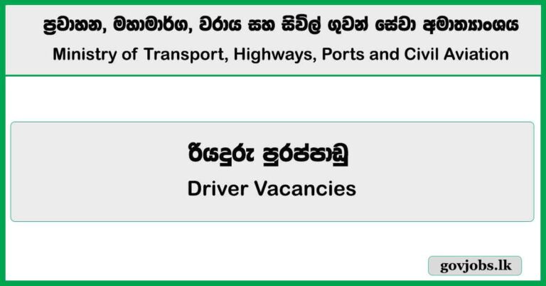 Driver (PAEHP) – Ministry of Transport, Highways, Ports and Civil Aviation Job Vacancies 2025