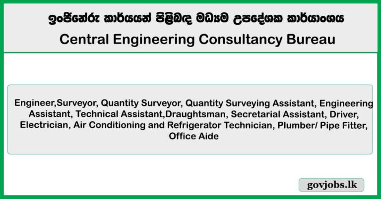 Engineer, Surveyor, Driver, Electrician, Draughtsman, Technical Assistant - Central Engineering Consultancy Bureau Job Vacancies 2025