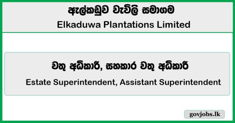 Estate Superintendent, Assistant Superintendent – Elkaduwa Plantations Limited Job Vacancies 2026