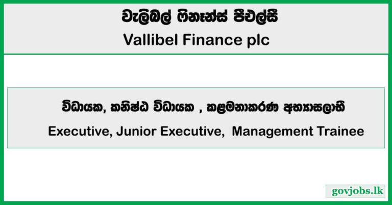 Executive, Junior Executive, Management Trainee (HR) - Vallibel Finance PLC Job Vacancies 2025