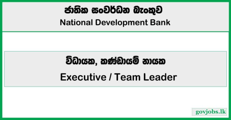 Executive, Team Leader - National Development Bank Job Vacancies 2026