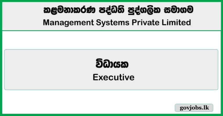 Executive – Management Systems Private Limited Job Vacancies 2025