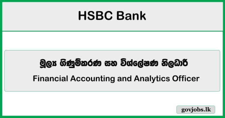 Financial Accounting and Analytics Officer – HSBC Bank Job Vacancies 2025