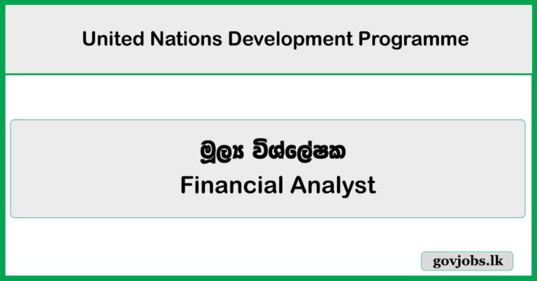 Financial Analyst - United Nations Development Programme Job Vacancies 2025