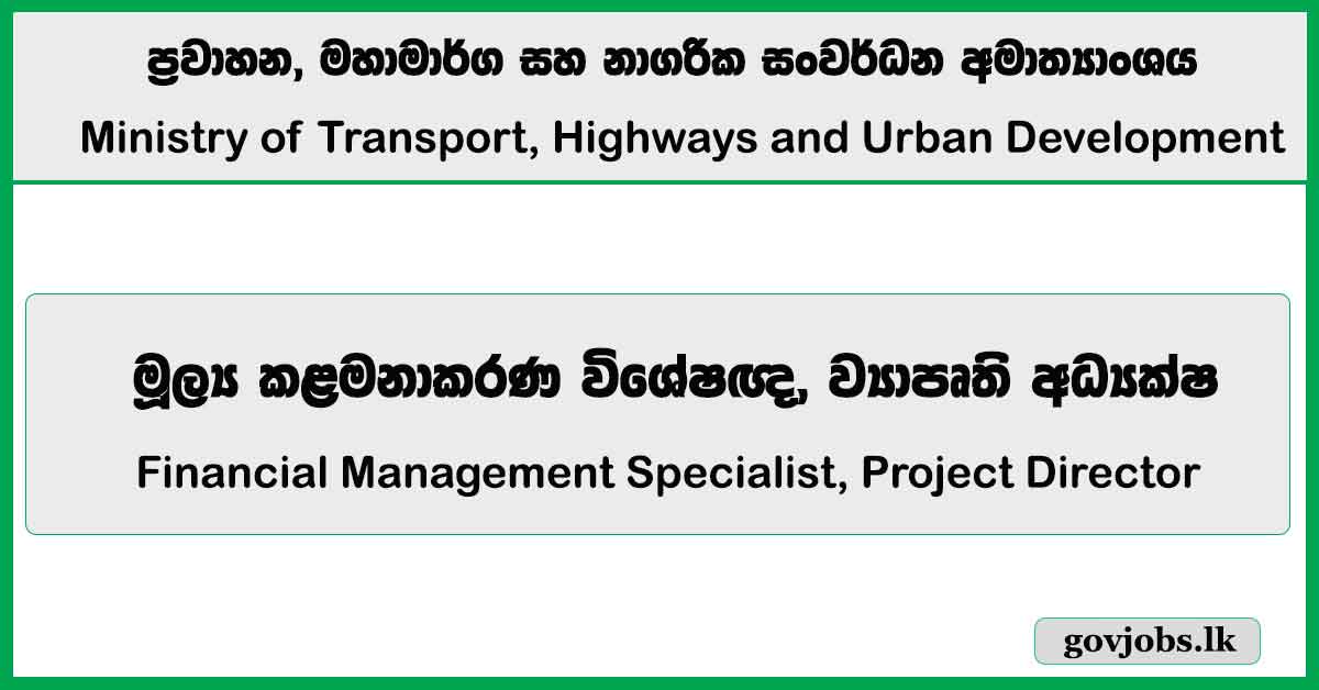 Financial Management Specialist, Project Director – Ministry of Transport, Highways and Urban Development Vacancies 2026