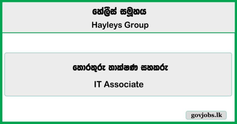 IT Associate - Hayleys Group Vacancies 2025