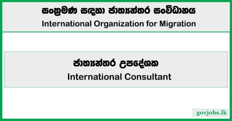 International Consultant - International Organization for Migration Job Vacancies 2025