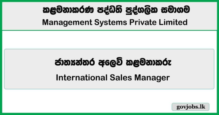 International Sales Manager – Management Systems Private Limited Job Vacancies 2026