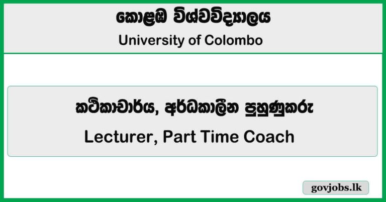 Lecturer, Part Time Coach - University of Colombo 2026 Job Vacancies