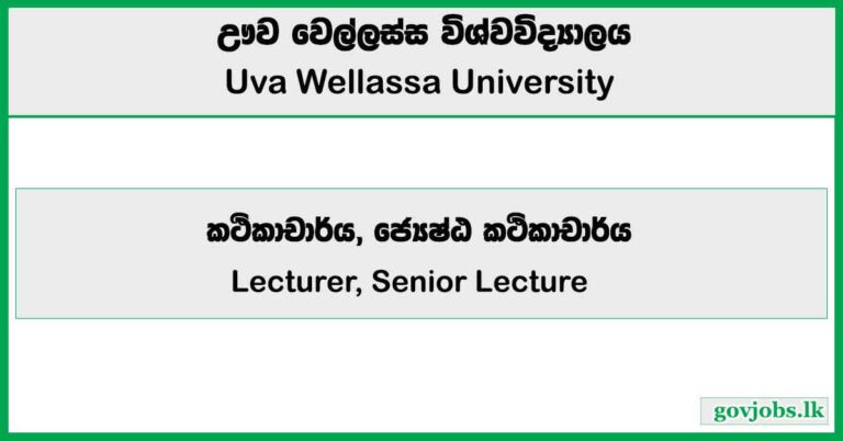 Lecturer, Senior Lecture - Uva Wellassa University Job Vacancies 2025