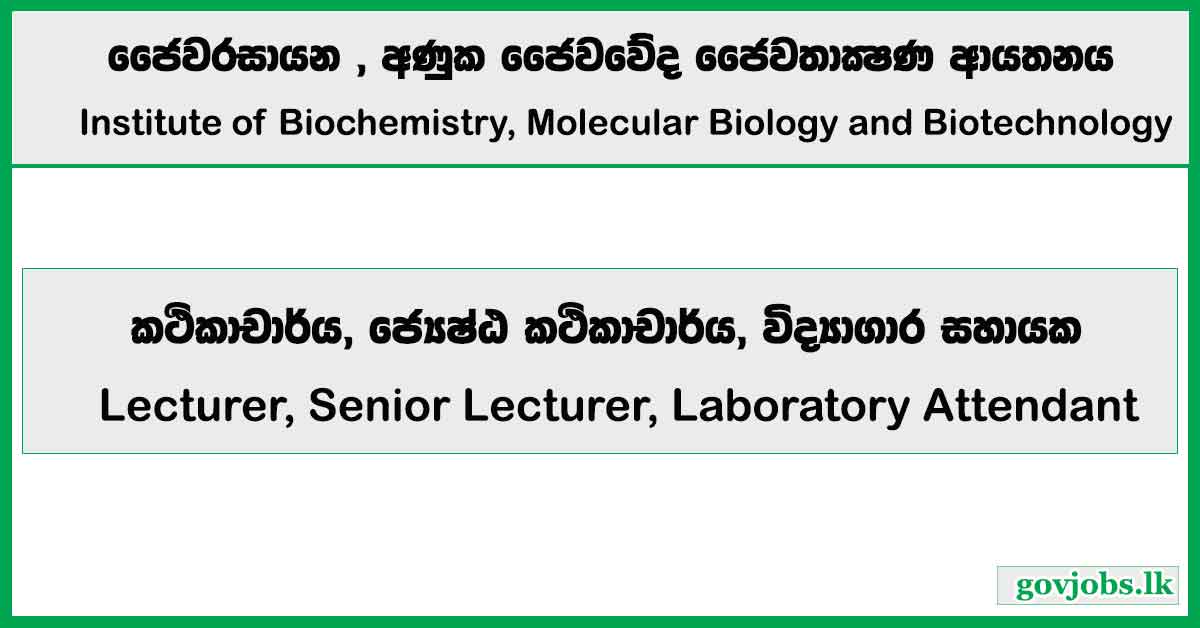 Lecturer, Senior Lecturer, Laboratory Attendant – Institute of Biochemistry, Molecular Biology and Biotechnology Job Vacancies 2026