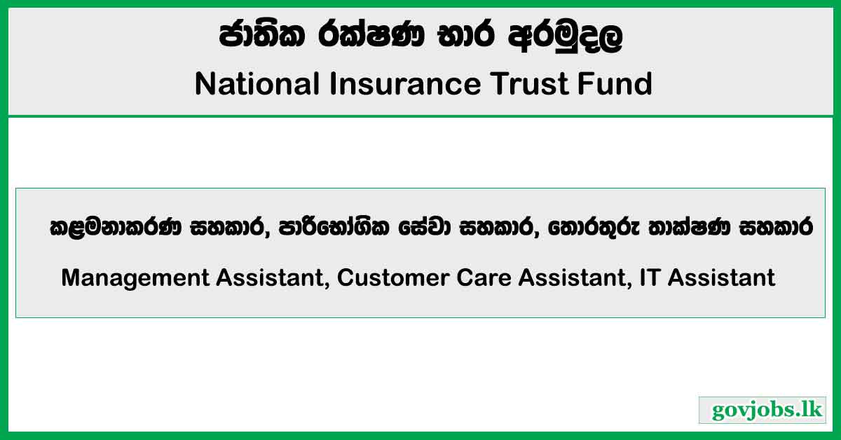 Management Assistant, Customer Care Assistant, IT Assistant - National Insurance Trust Fund (NITF) Job Vacancies 2026