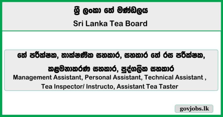 Management Assistant, Personal Assistant, Technical Assistant - Sri Lanka Tea Board Job Vacancies 2025