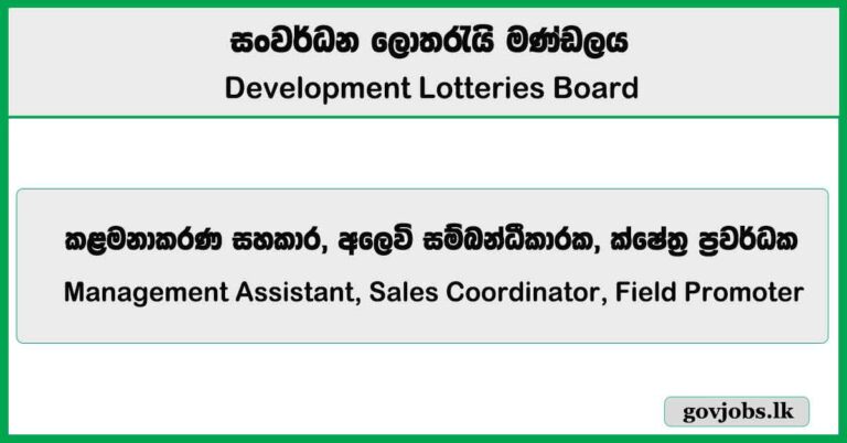 Management Assistant, Sales Coordinator, Field Promoter - Development Lotteries Board (DLB) Job Vacancies 2025