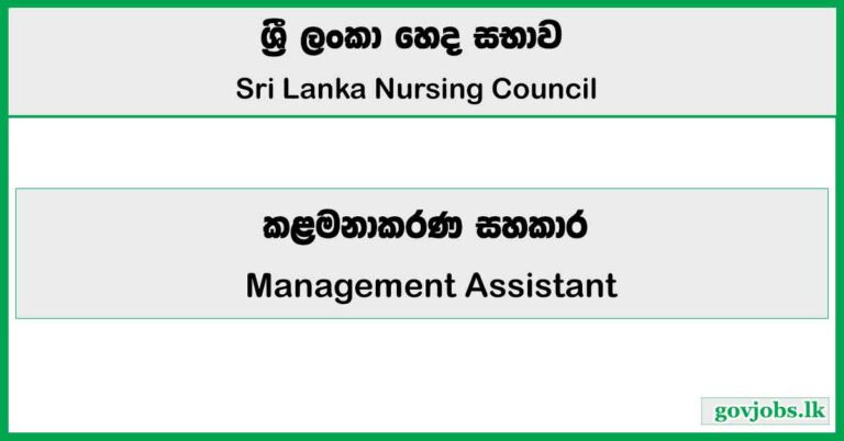 Management Assistant - Sri Lanka Nursing Council 2026 Job Vacancies