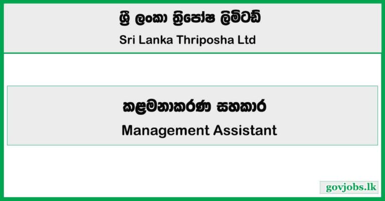 Management Assistant - Sri Lanka Thriposha Ltd Job Vacancies 2025