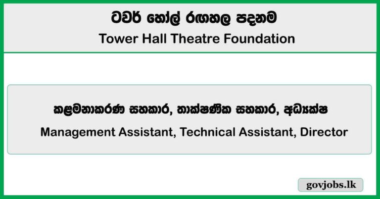 Management Assistant, Technical Assistant, Director – Tower Hall Theatre Foundation Job Vacancies 2025