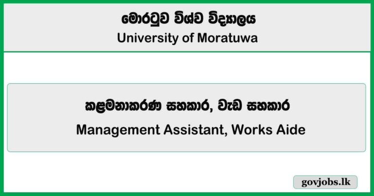 Management Assistant, Works Aide - Institute Of Technology University Of Moratuwa Job Vacancies 2025