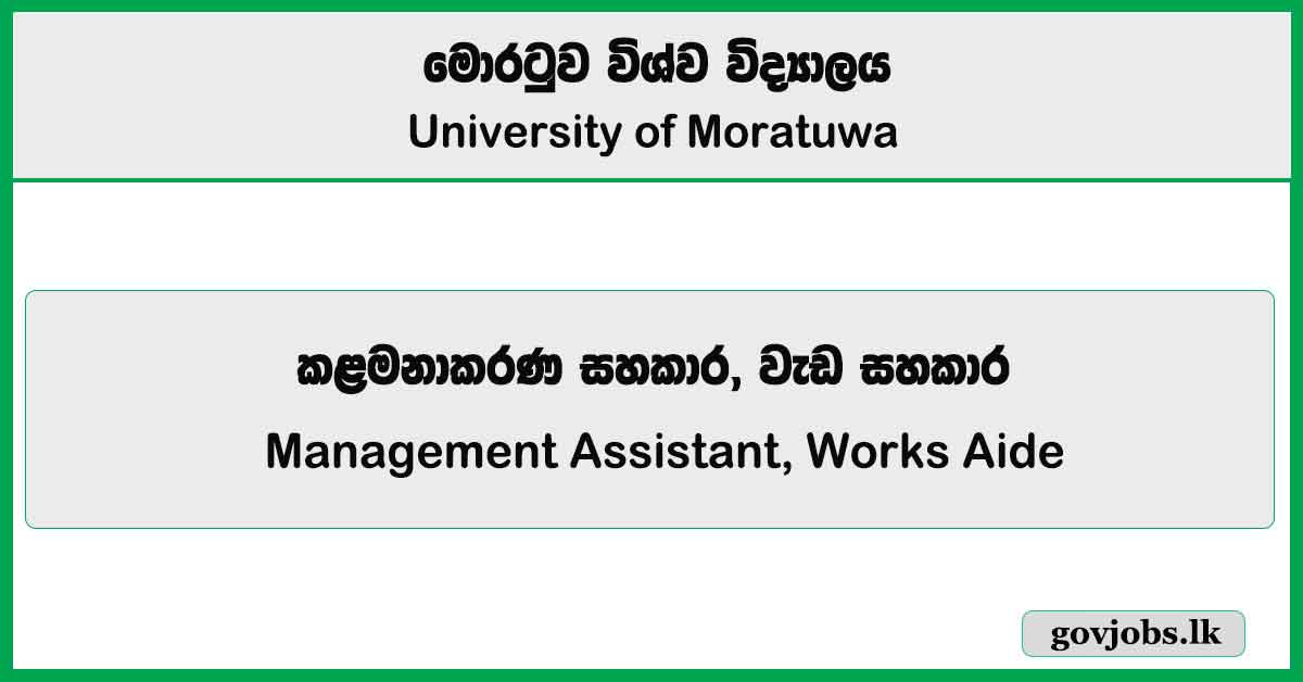Management Assistant, Works Aide - Institute Of Technology University Of Moratuwa Job Vacancies 2025