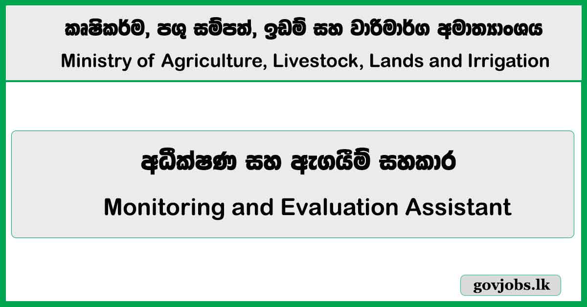 Monitoring and Evaluation Assistant - Ministry of Agriculture, Livestock, Lands and Irrigation