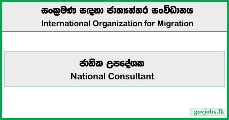 National Consultant - International Organization for Migration Job Vacancies 2024