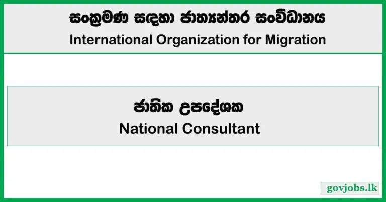 National Consultant - International Organization for Migration Job Vacancies 2025