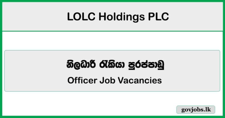 Officer - LOLC Holdings PLC Job Vacancies 2026