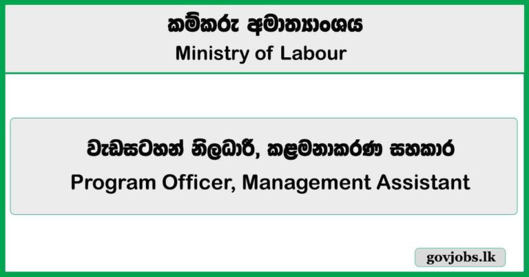 Program Officer, Management Assistant - Ministry of Labour Job Vacancies 2025