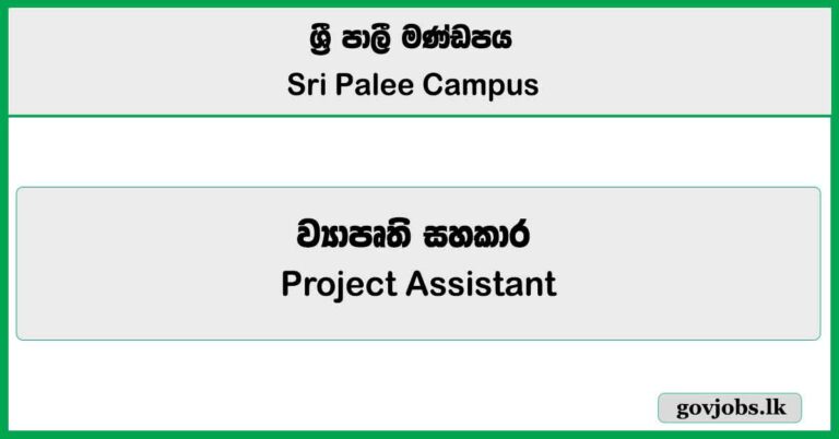 Project Assistant - Sri Palee Campus Job Vacancies 2025