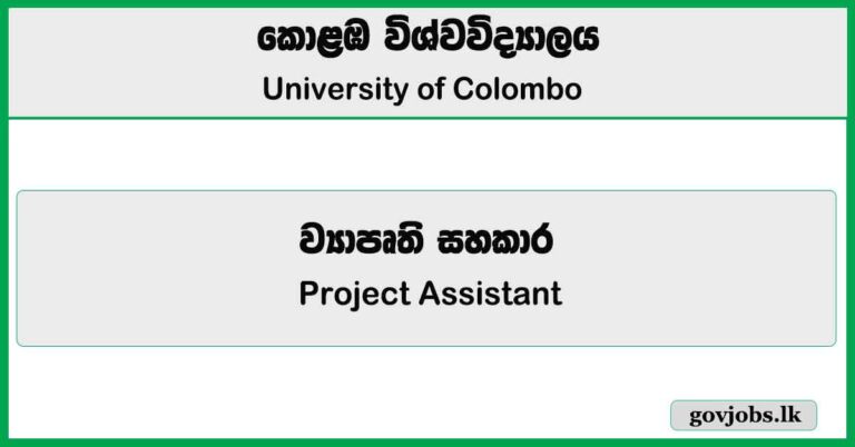 Project Assistant - University of Colombo Job Vacancies 2025