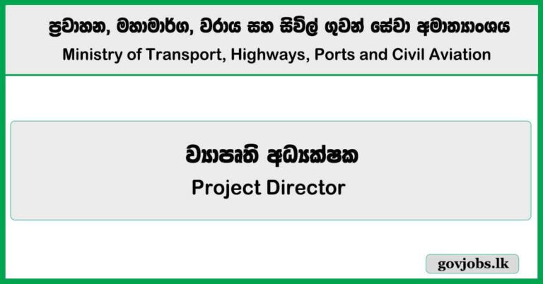 Project Director – Ministry of Transport, Highways, Ports and Civil Aviation Job Vacancies 2025