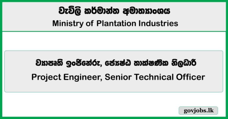 Project Engineer, Senior Technical Officer - Ministry of Plantation Industries Job Vacancies 2025