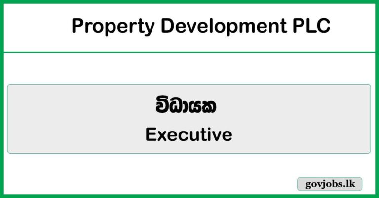 Executive - Property Development PLC Job Vacancies 2026