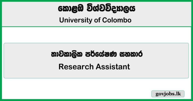 Research Assistant - University of Colombo Job Vacancies 2025