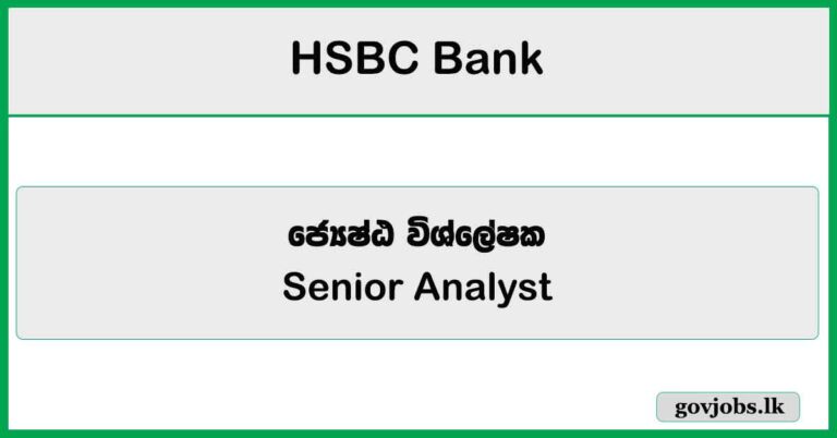 Senior Analyst – HSBC Bank Job Vacancies 2025