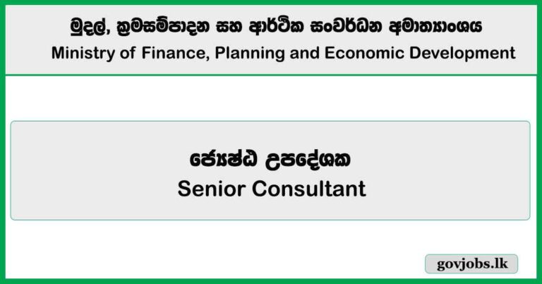 Senior Consultant – Ministry of Finance, Planning and Economic Development Job Vacancies 2025