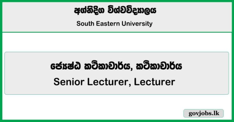 Senior Lecturer, Lecturer - South Eastern University Job Vacancies 2025