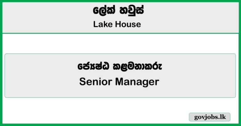 Senior Manager - Lake House Job Vacancies 2025