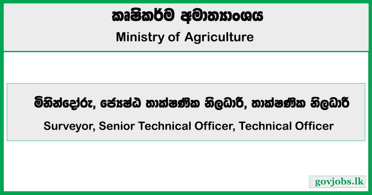 Surveyor, Senior Technical Officer, Technical Officer - Ministry of Agriculture Job Vacancies 2025