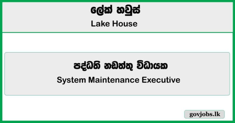 System Maintenance Executive - Lake House Job Vacancies 2025