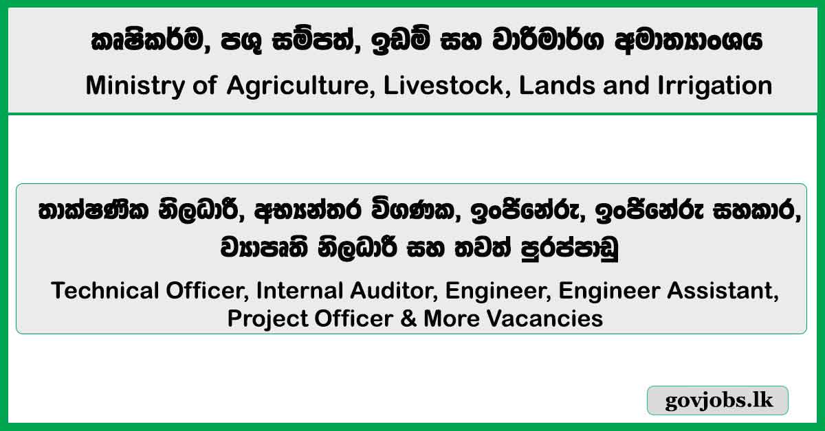 Technical Officer, Internal Auditor, Engineer, Engineer Assistant, Project Officer & More Vacancies 2026 - Ministry of Agriculture, Livestock, Lands and Irrigation